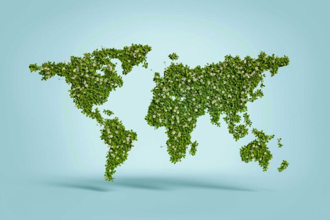 green new deal