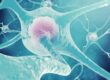 ERA-NET NEURON