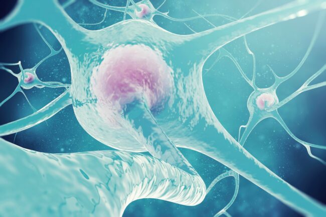 ERA-NET NEURON ERA-NET NEURON