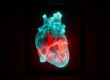 ERA4Health-InterHeart