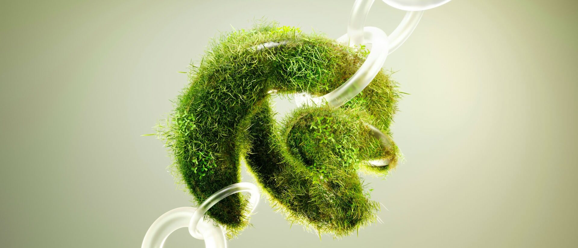 Crescita sostenibile Crescita sostenibile