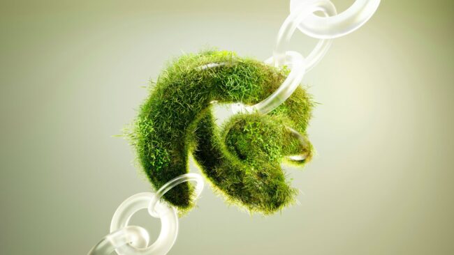 Crescita sostenibile